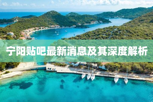寧陽貼吧最新消息及其深度解析