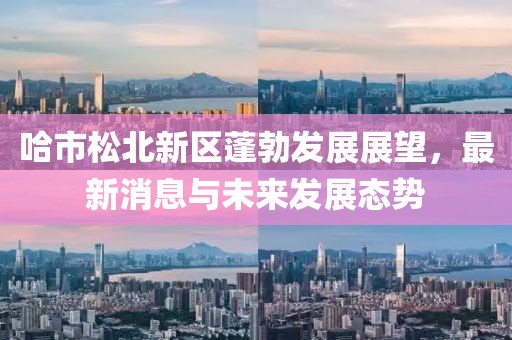 哈市松北新區(qū)蓬勃發(fā)展展望，最新消息與未來(lái)發(fā)展態(tài)勢(shì)