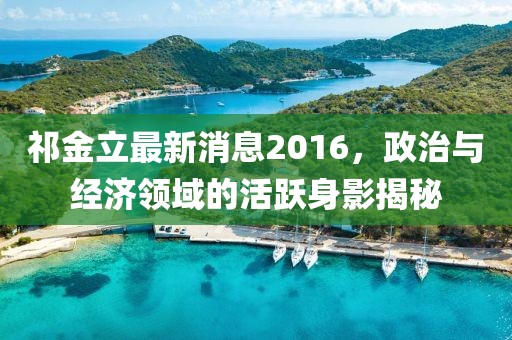 祁金立最新消息2016，政治與經(jīng)濟(jì)領(lǐng)域的活躍身影揭秘