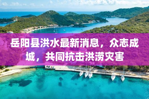 岳陽縣洪水最新消息，眾志成城，共同抗擊洪澇災害