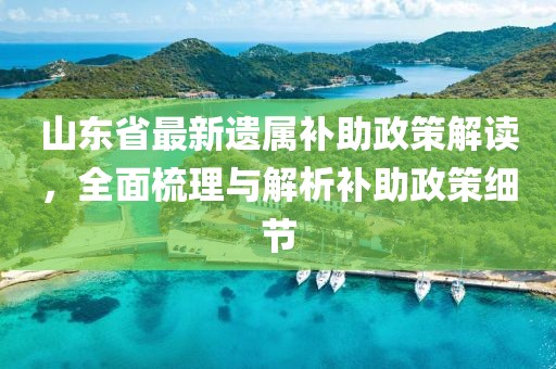 山東省最新遺屬補(bǔ)助政策解讀，全面梳理與解析補(bǔ)助政策細(xì)節(jié)