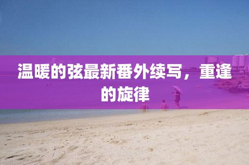 溫暖的弦最新番外續(xù)寫，重逢的旋律