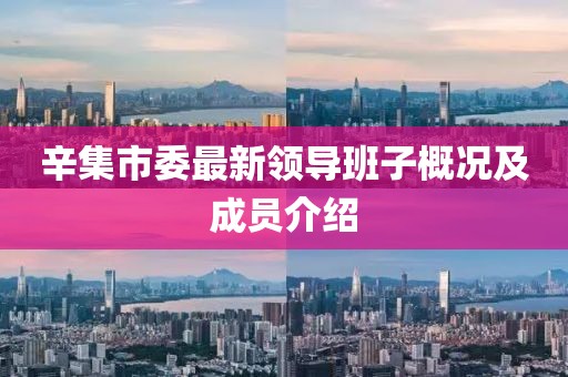 辛集市委最新領導班子概況及成員介紹