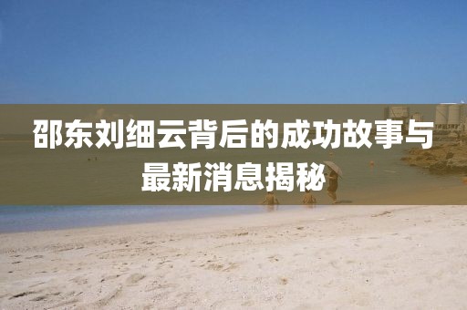 邵東劉細(xì)云背后的成功故事與最新消息揭秘