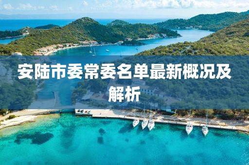 安陸市委常委名單最新概況及解析