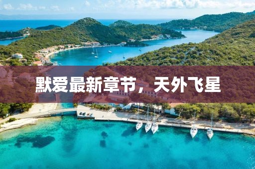 默愛最新章節(jié)，天外飛星