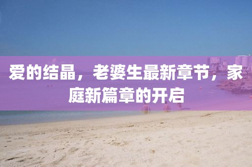 愛的結(jié)晶，老婆生最新章節(jié)，家庭新篇章的開啟