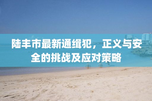 陸豐市最新通緝犯，正義與安全的挑戰(zhàn)及應(yīng)對(duì)策略