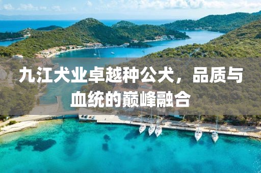 九江犬業(yè)卓越種公犬，品質(zhì)與血統(tǒng)的巔峰融合