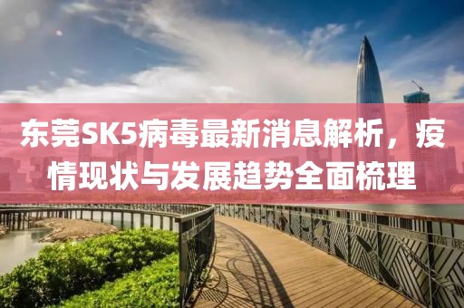 東莞SK5病毒最新消息解析，疫情現(xiàn)狀與發(fā)展趨勢全面梳理