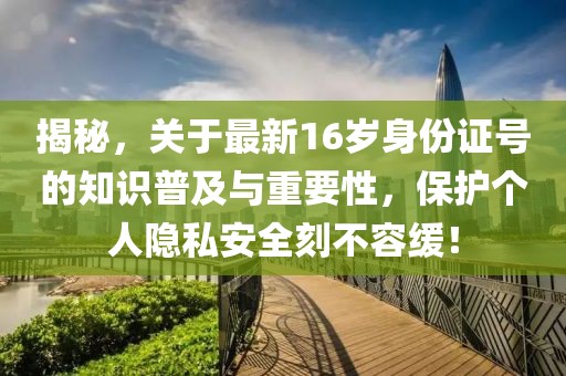 揭秘，關(guān)于最新16歲身份證號的知識普及與重要性，保護(hù)個(gè)人隱私安全刻不容緩！
