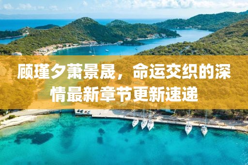 顧瑾夕蕭景晟，命運(yùn)交織的深情最新章節(jié)更新速遞