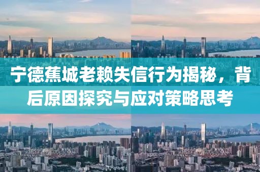 寧德蕉城老賴失信行為揭秘，背后原因探究與應(yīng)對(duì)策略思考