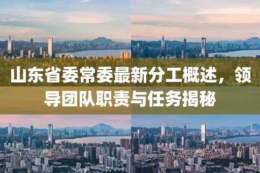 山東省委常委最新分工概述，領(lǐng)導(dǎo)團(tuán)隊(duì)職責(zé)與任務(wù)揭秘