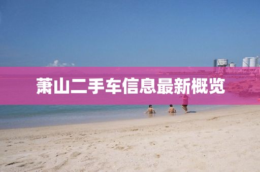 蕭山二手車信息最新概覽