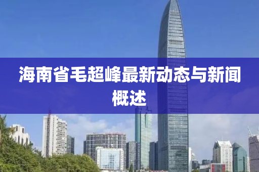 海南省毛超峰最新動(dòng)態(tài)與新聞概述