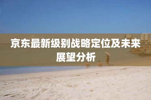 京東最新級別戰(zhàn)略定位及未來展望分析