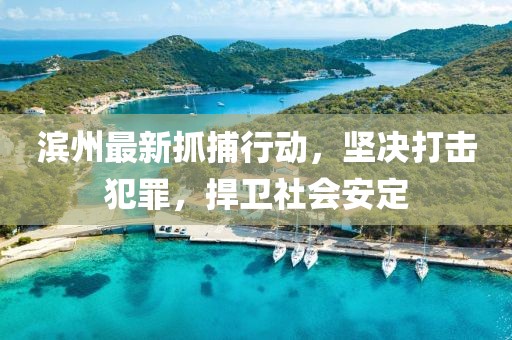 濱州最新抓捕行動，堅決打擊犯罪，捍衛(wèi)社會安定