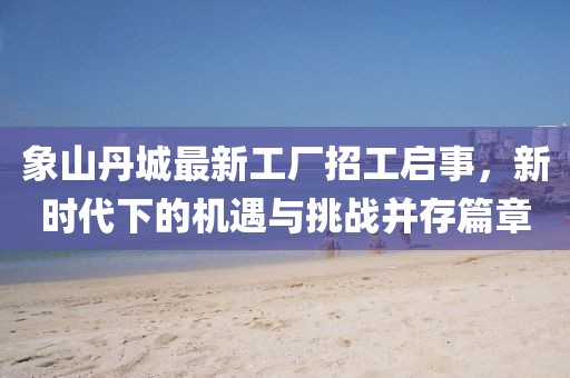 象山丹城最新工廠招工啟事，新時(shí)代下的機(jī)遇與挑戰(zhàn)并存篇章