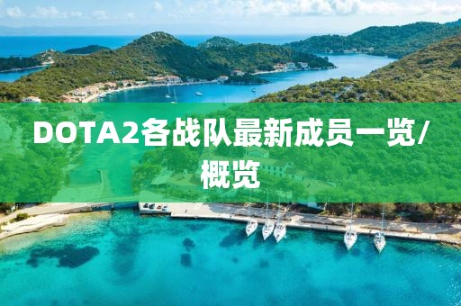 DOTA2各戰(zhàn)隊最新成員一覽/概覽