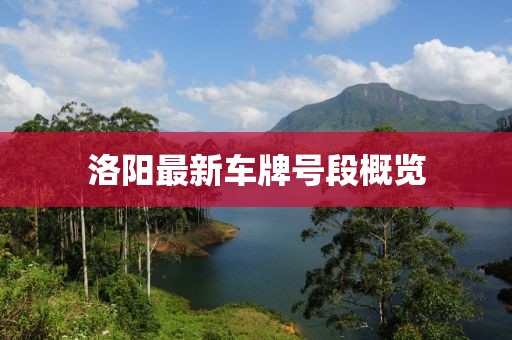 洛陽最新車牌號(hào)段概覽