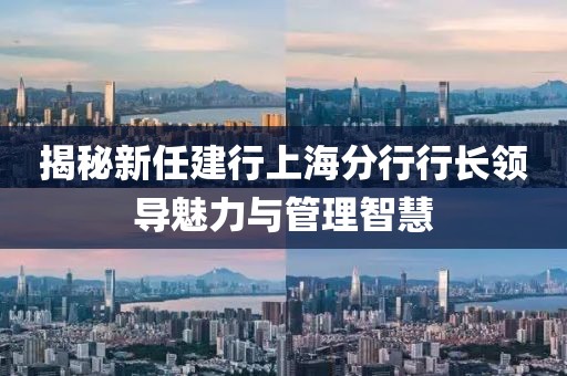 揭秘新任建行上海分行行長領導魅力與管理智慧