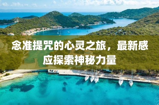 念準(zhǔn)提咒的心靈之旅，最新感應(yīng)探索神秘力量