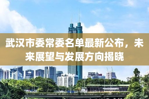 武漢市委常委名單最新公布，未來展望與發(fā)展方向揭曉