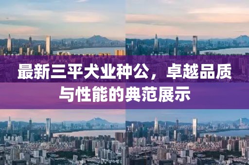 最新三平犬業(yè)種公，卓越品質(zhì)與性能的典范展示