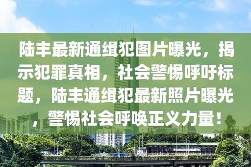 陸豐最新通緝犯圖片曝光，揭示犯罪真相，社會(huì)警惕呼吁標(biāo)題，陸豐通緝犯最新照片曝光，警惕社會(huì)呼喚正義力量！