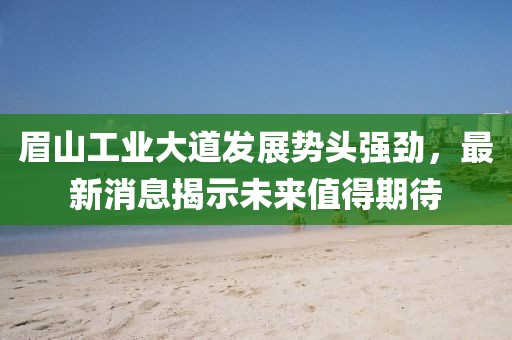 眉山工業(yè)大道發(fā)展勢頭強勁，最新消息揭示未來值得期待