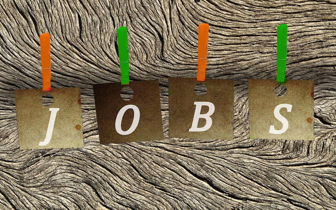 咸陽最新招聘動態(tài)揭秘，今日渭城職位大放送