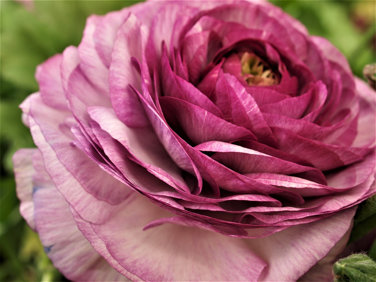 東和環(huán)保引領(lǐng)綠色發(fā)展，先鋒力量展現(xiàn)最新環(huán)保動(dòng)態(tài)