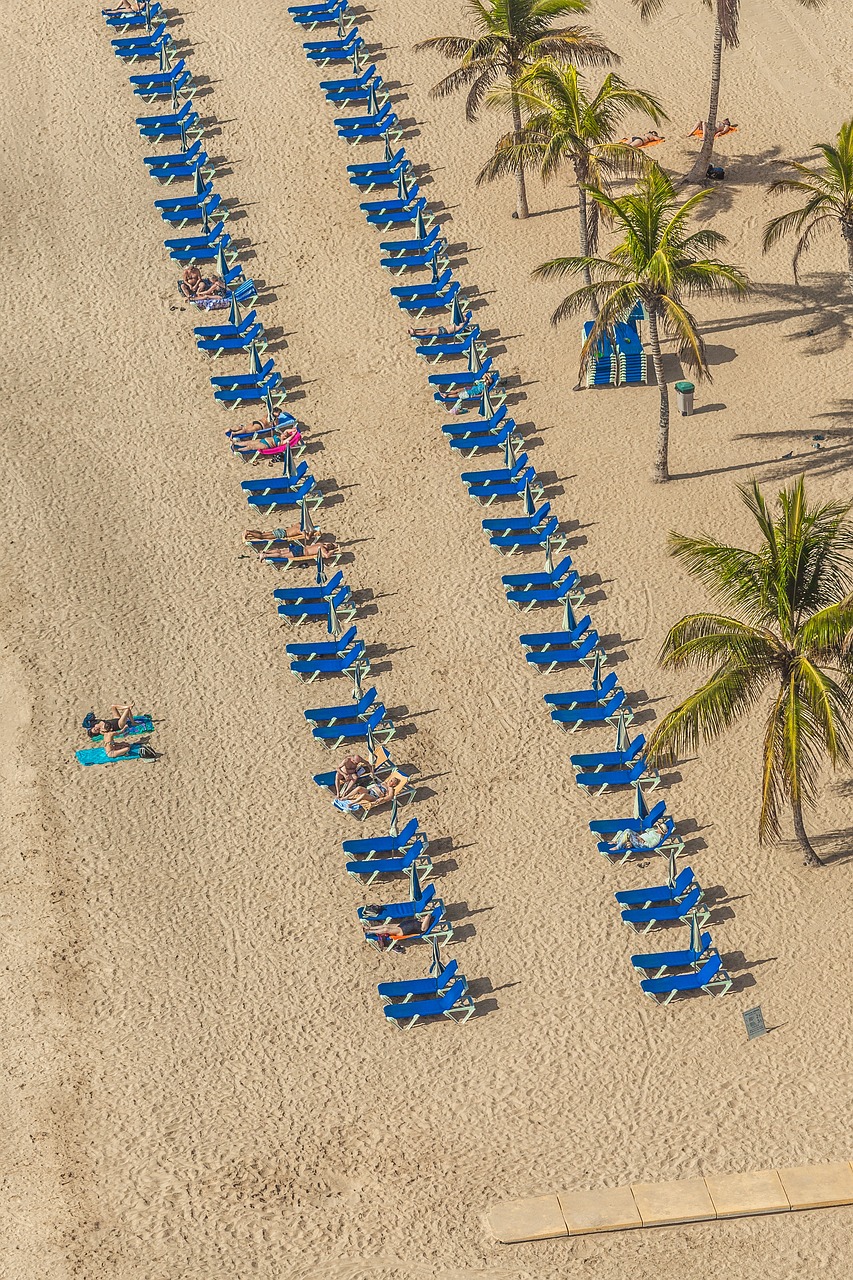 迷你世界最新版，探索與體驗(yàn)之旅