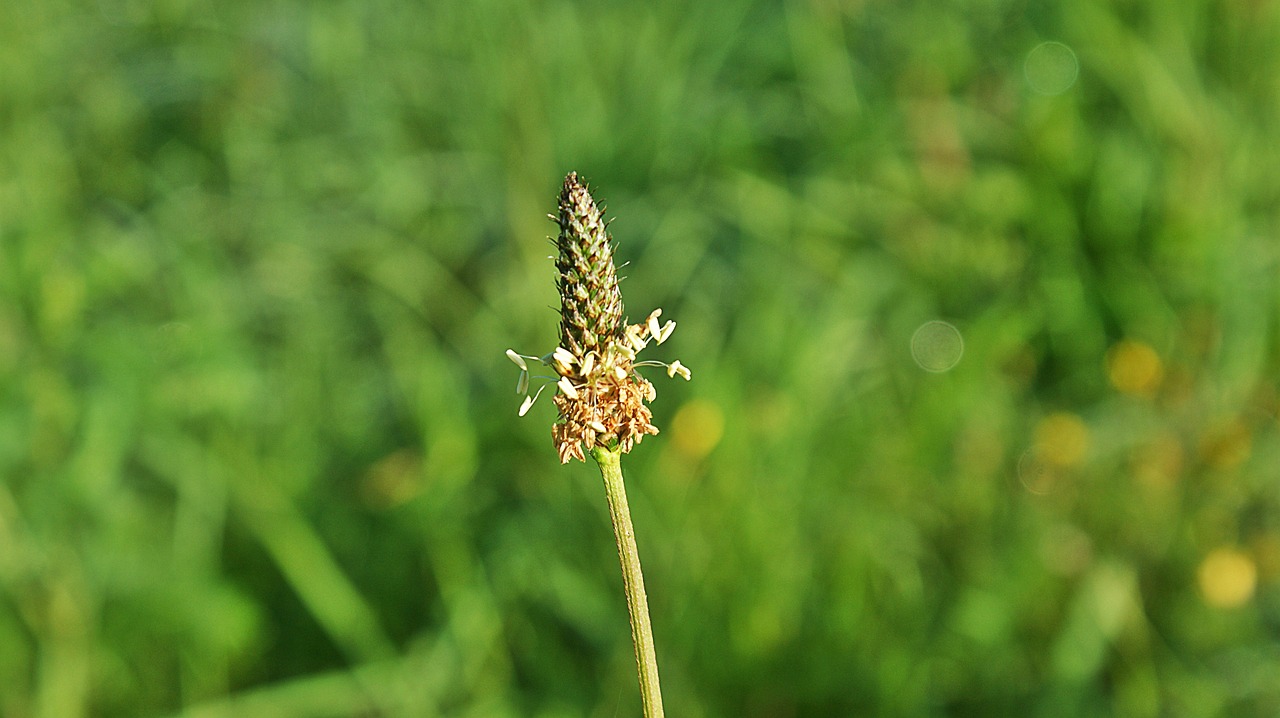 怕你分心 第25頁