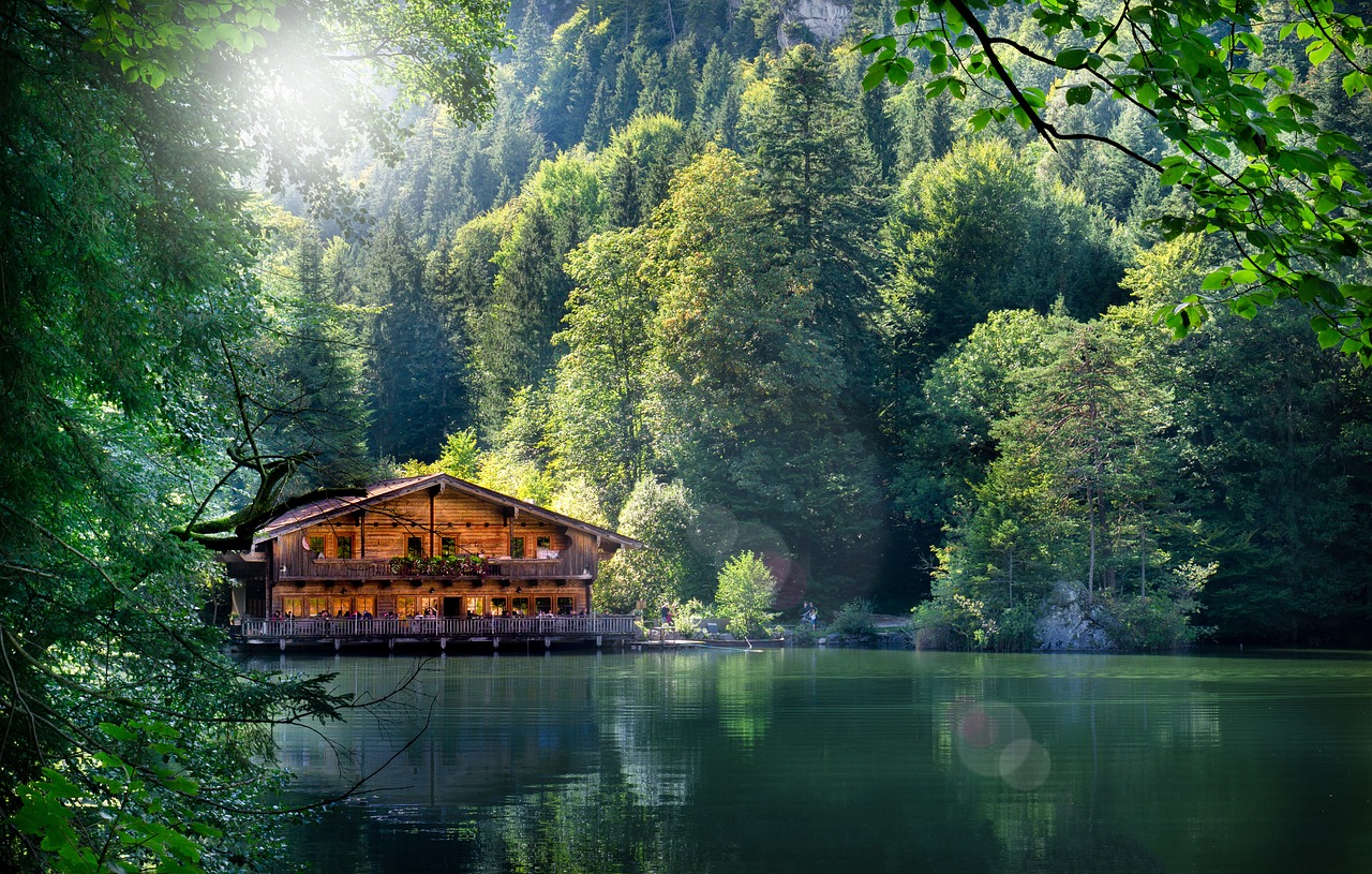 灌云五農(nóng)景苑最新動(dòng)態(tài)揭秘，最新進(jìn)展與資訊更新