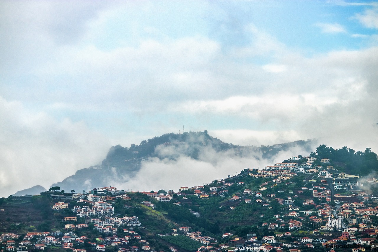 濟(jì)南新聞網(wǎng)最新新聞，城市動(dòng)態(tài)與經(jīng)濟(jì)脈搏的交融報(bào)道