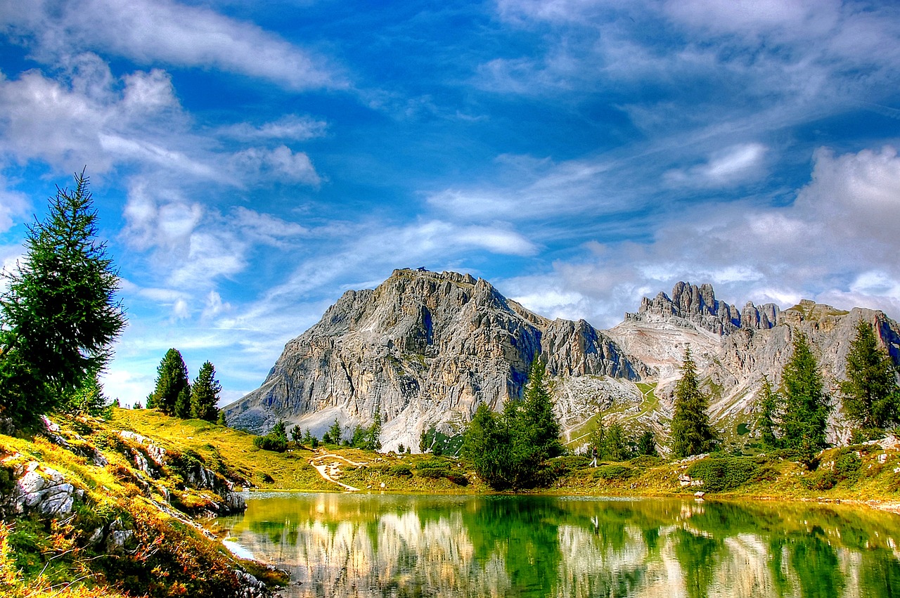 大連東北特鋼最新動(dòng)態(tài)解析，全面關(guān)注最新消息