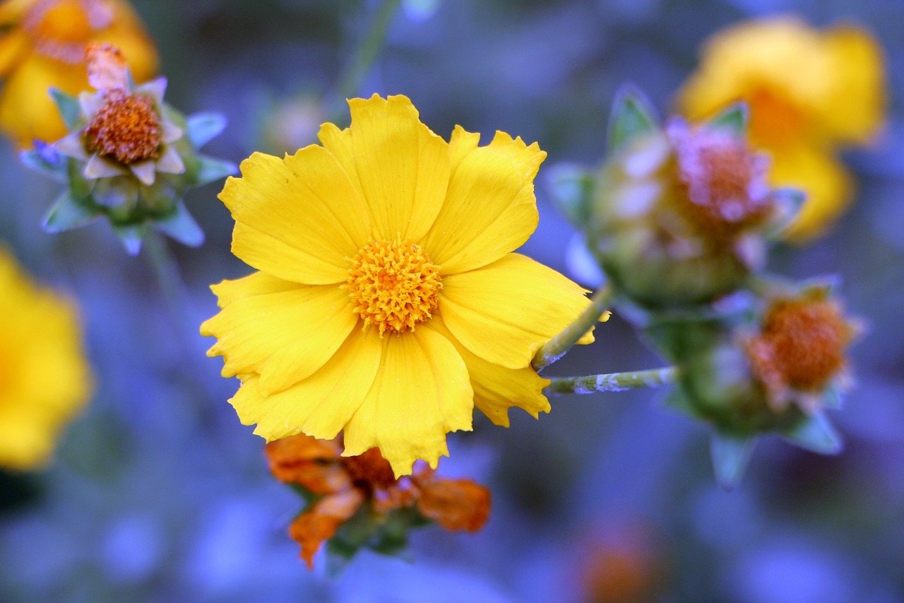 范冰冰最新動(dòng)態(tài)，閃耀全球的巨星風(fēng)采依舊