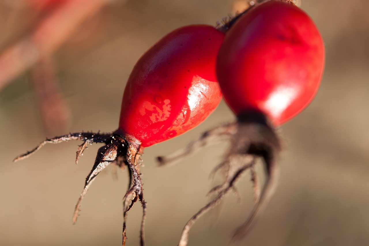 邳州工廠招工最新動態(tài)，探尋發(fā)展機遇，共筑美好未來