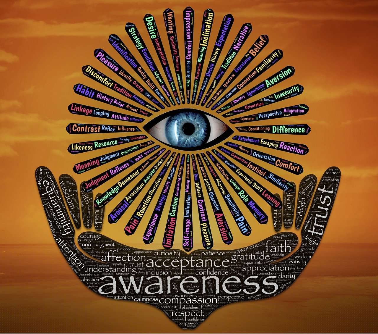 權(quán)力巔峰，官場探索與反思的啟示