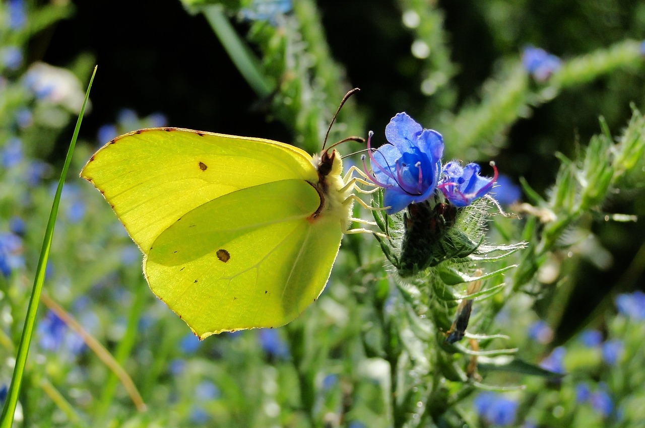 天津津南永旺最新狀況概覽，最新進(jìn)展與動態(tài)更新