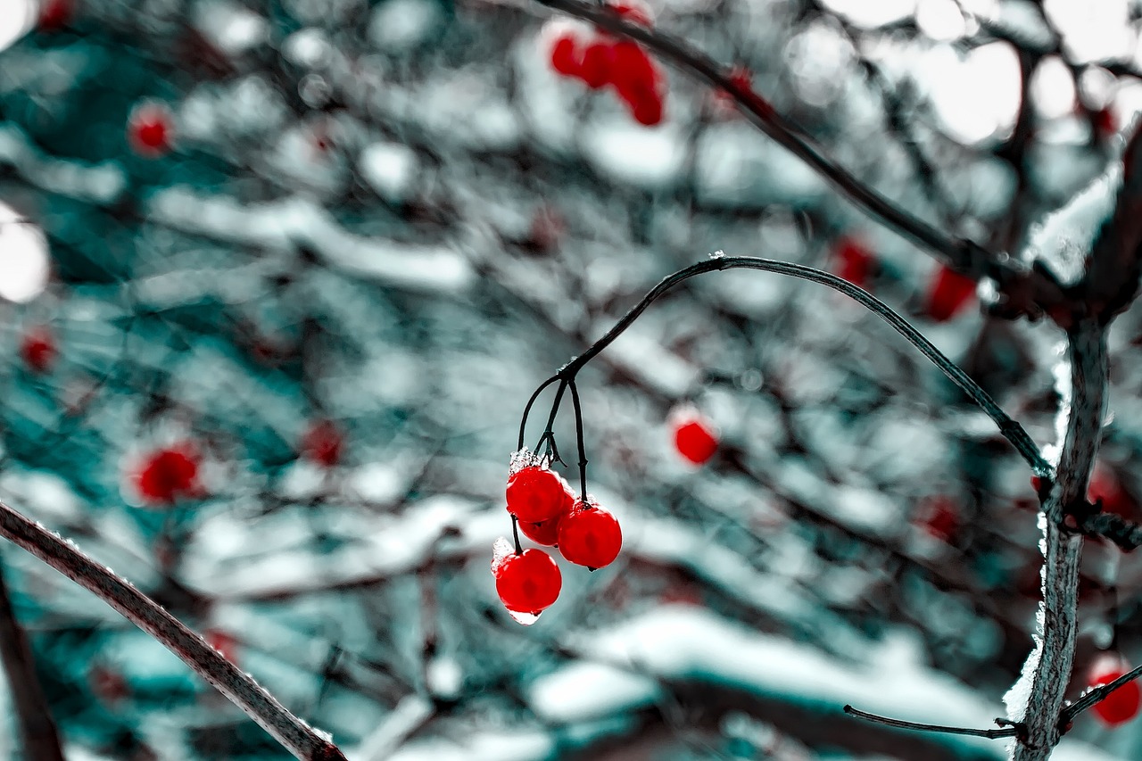 肖致遠(yuǎn)續(xù)寫(xiě)輝煌，一路青云最新進(jìn)展報(bào)道