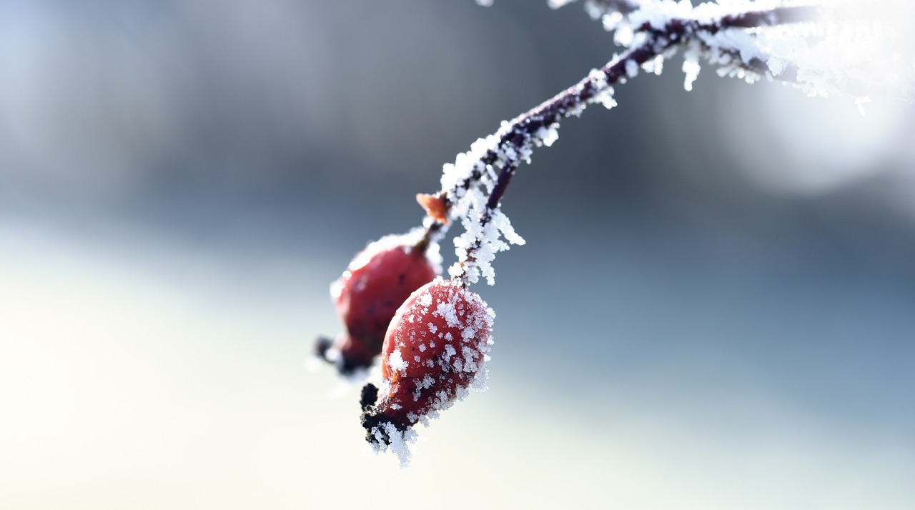資興新房出售最新消息揭秘，最新房源動態(tài)與優(yōu)惠信息一網(wǎng)打盡！
