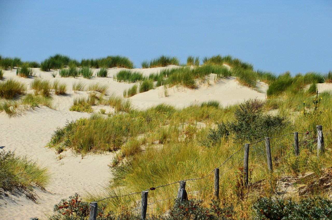 海啟高速如東最新消息概覽，最新動(dòng)態(tài)與進(jìn)展報(bào)告