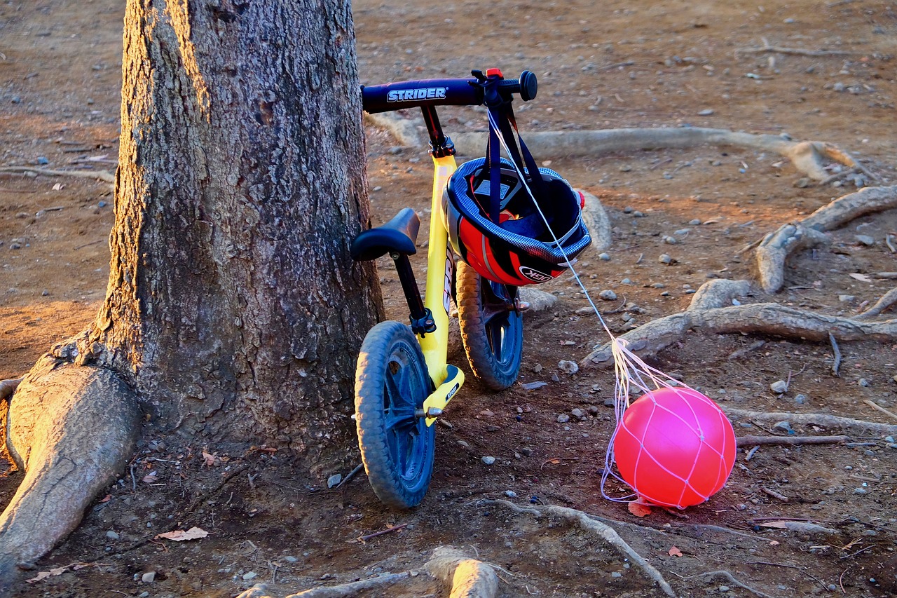 收養(yǎng)法修改最新動態(tài)，重塑收養(yǎng)制度，保障兒童權(quán)益