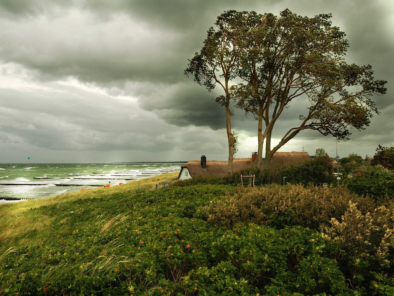山東海洋天氣預報更新及分析，最新海洋氣象動態(tài)揭秘