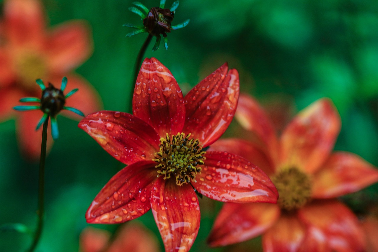 懷來萬悅廣場，城市新地標(biāo)，引領(lǐng)未來生活風(fēng)尚新動(dòng)態(tài)