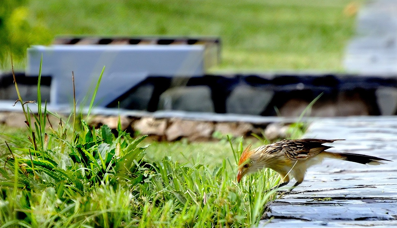 湛江海東廣場(chǎng)最新動(dòng)態(tài)及未來展望
