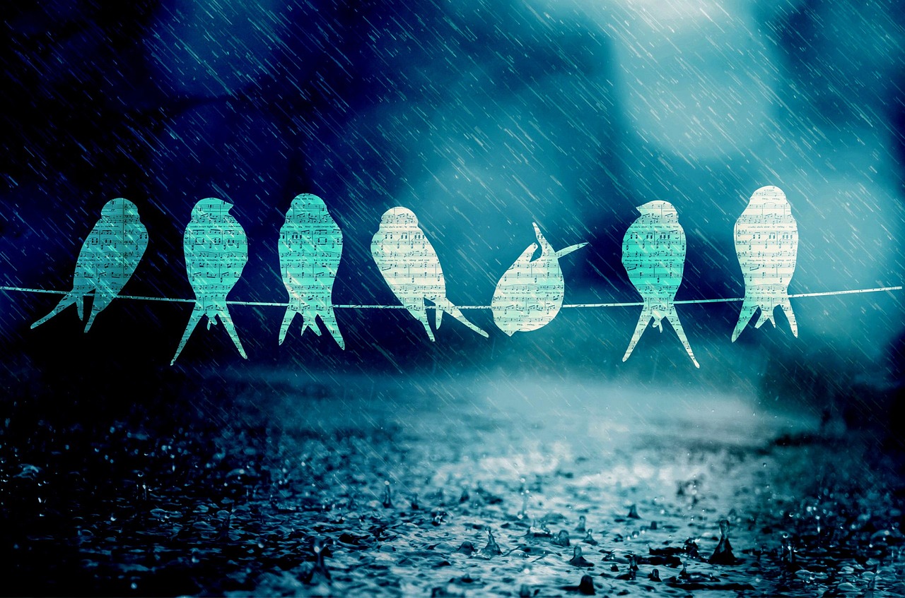 舟山自貿(mào)區(qū)蓬勃發(fā)展，海洋經(jīng)濟(jì)新引擎揭秘最新動態(tài)